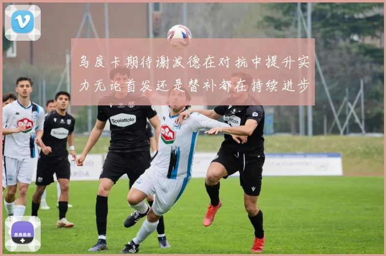 乌度卡期待谢泼德在对抗中提升实力无论首发还是替补都在持续进步