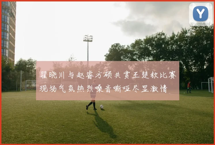 翟晓川与赵睿方硕共赏王楚钦比赛现场气氛热烈嗓音嘶哑尽显激情