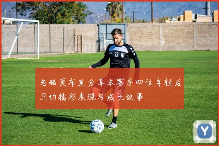 老猫莫布里分享本赛季四位年轻后卫的精彩表现与成长故事
