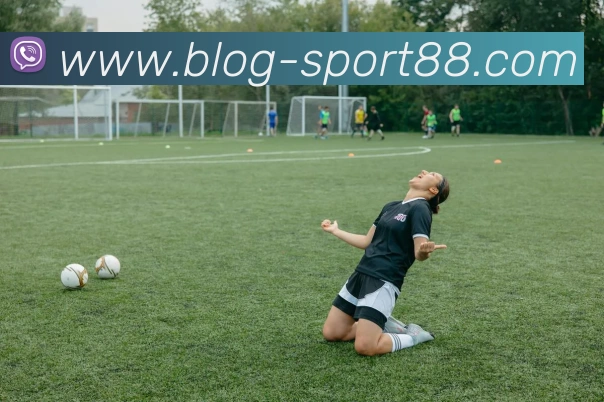 88体育服务体系